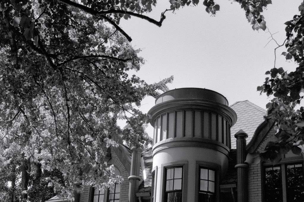 Adventurous Amble Up Agricola