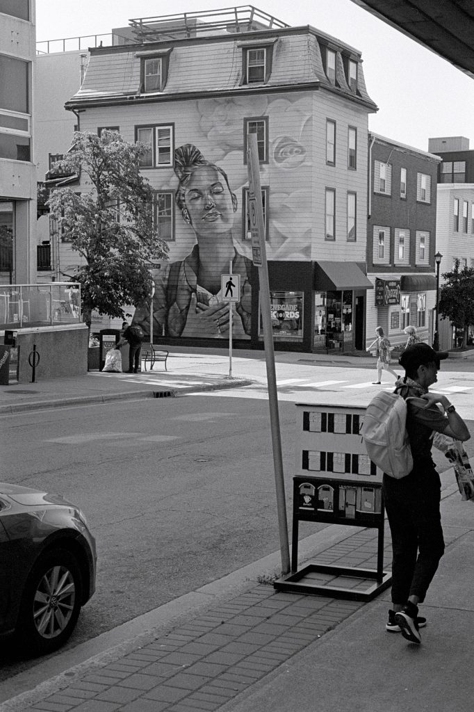 A Nice Amble Around Sullivan’s Pond & Lake Banook (cont’d)