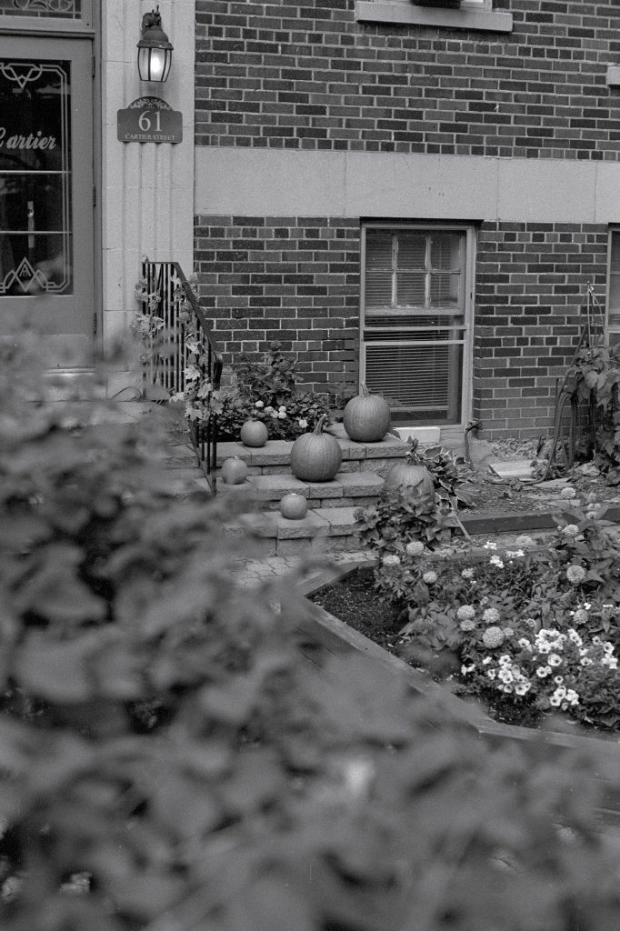 Slowly Getting Back Into It